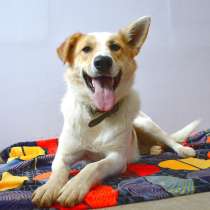 Очень ждёт семью, в Электростале