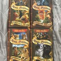 Коты-Воители, в Находке