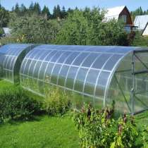 Теплица, в Майкопе