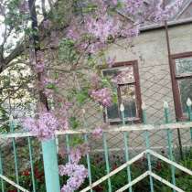 Продается дом по ул. Колесниченко в г. Григориополь, в г.Тирасполь