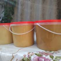 Продаю мёд с личной пасеки, в Курчатове