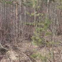 Участок, в Ногинске