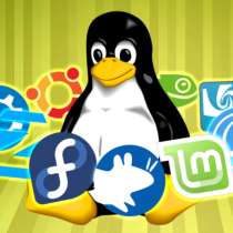 Установка Linux и Windows, в Новороссийске