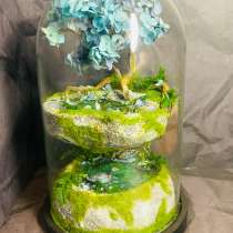 Моссариум «Парящий остров», в Раменское