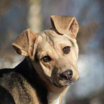 Марго &mdash; статная красотка в поисках своего человека!, в Москве