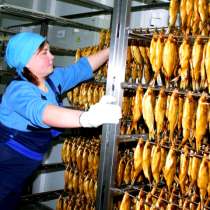 Продам действующее рыбное пищевое производство. 3 млн выручк, в Москве