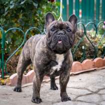 Ищу подругу, в Белгороде