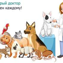 Ветеринарный врач на дом, в г.Москва