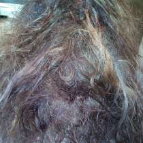 Распутывание колтунов. Снятия нарощенных волос, в Москве