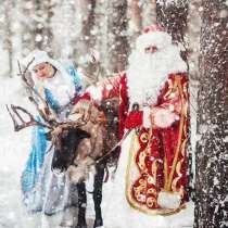 Вызов : Дедушки Мороза и Снегурочки, в Оренбурге