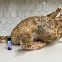 Домашнее мясо индейки, в Дмитрове