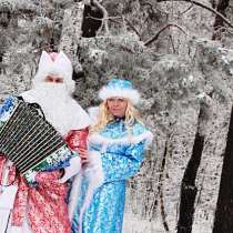 Дед мороз с гармошкой и снегурочка, в Набережных Челнах
