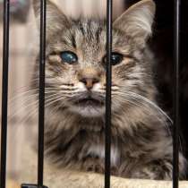 Осторожная Равенна ждёт встречи с новой семьей, в Москве