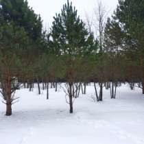 Участок 15с. село Купанское, в Переславле-Залесском