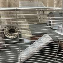 Клетка для грызунов, в Камышине