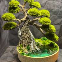 Бонсай ручной работы «Дерево у озера», в Раменское