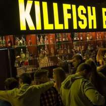 ФРАНШИЗА бар Killfish, в Сыктывкаре