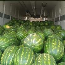 Арбузы в продаже, в Кизляре