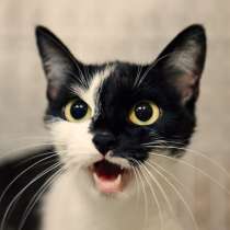 Трогательная Валери ищет заботливого человека, в Москве