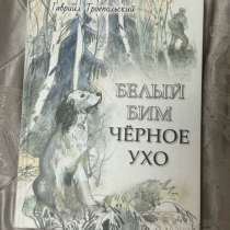 Белый Бим Черное Ухо, в Находке