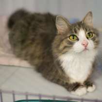 Жизнерадостная Грейс мечтает о переезде в собственный дом, в Москве