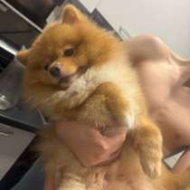 Вязка, в Казани