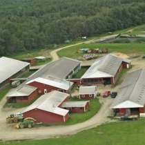 Доярка вахтой, в Смоленске