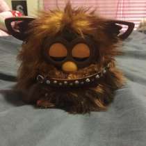 Furby, в Куйбышеве