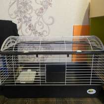 Декоративный кролик, в Новосибирске