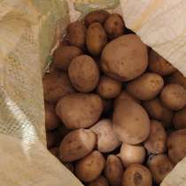 Продам картофель, в Качканаре