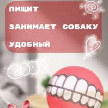Игрушка для собак, в Вешенской