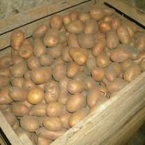 Продам излишки картофеля, в Сергиевом Посаде