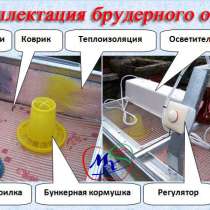 Клетка - брудер для выращивания перепелят, в г.Киев