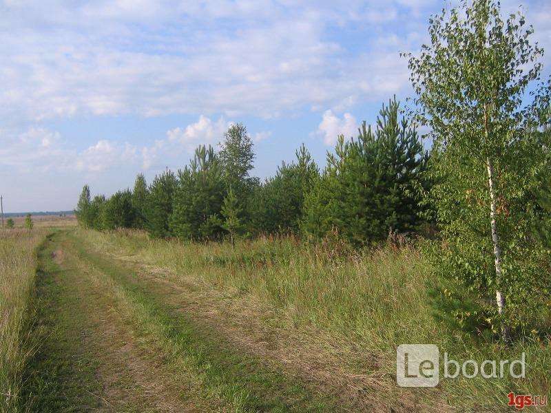 Участки под ижс в свердловской. Участок 1000 соток. Земельные участки Челябинская область. Фото участков земли на продажу.