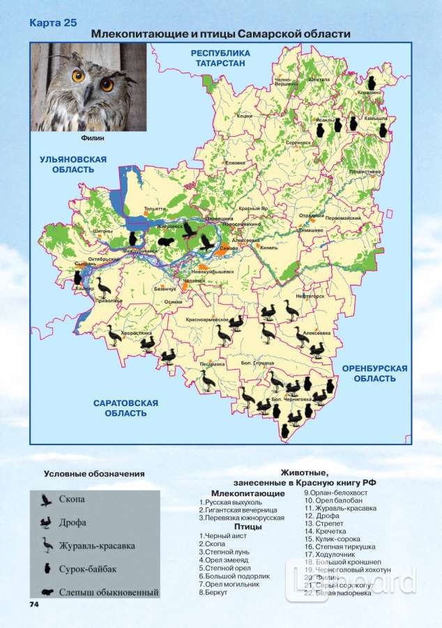 Спутниковая карта самарской области гугл